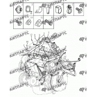 Жгут проводов двигателя